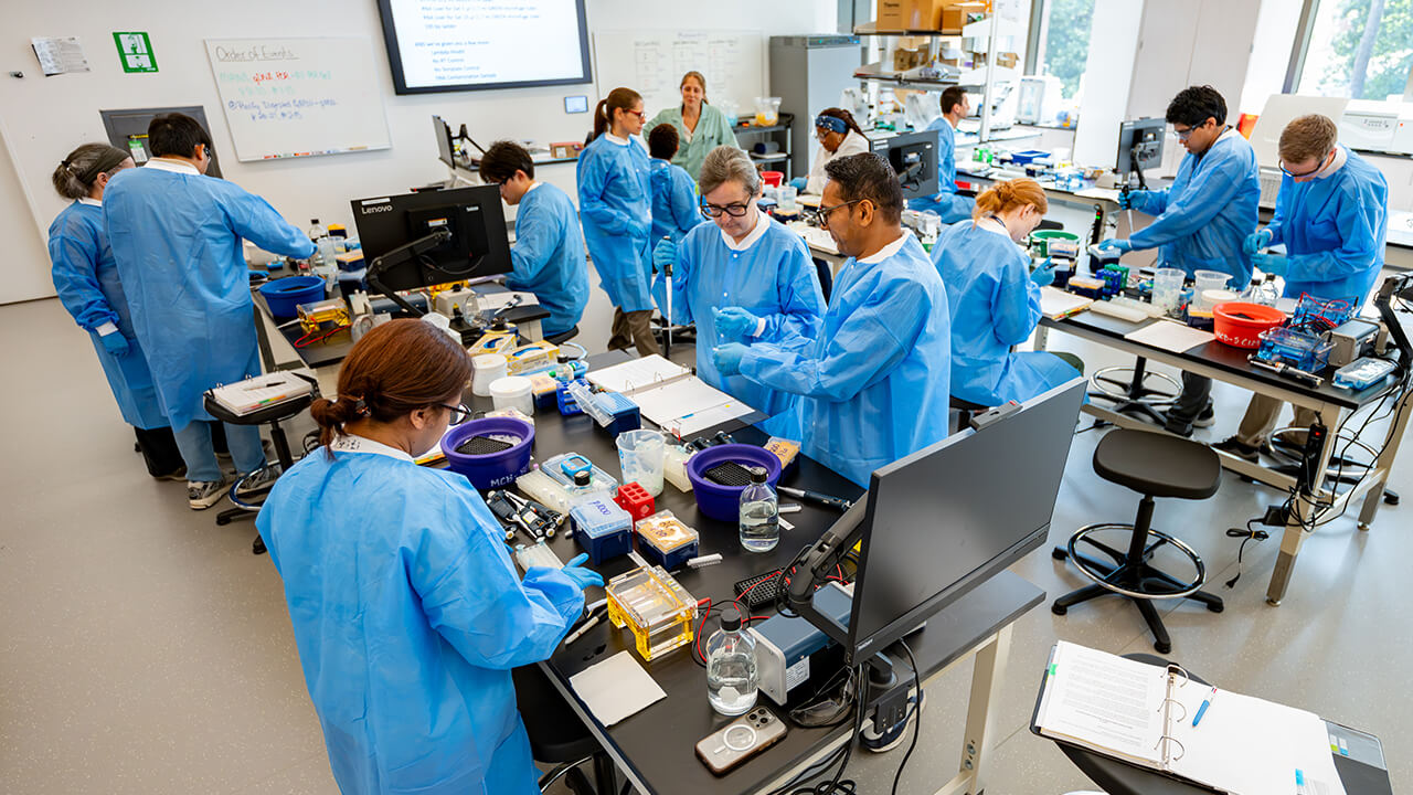New England Biolab participants in the labs in the SITE building