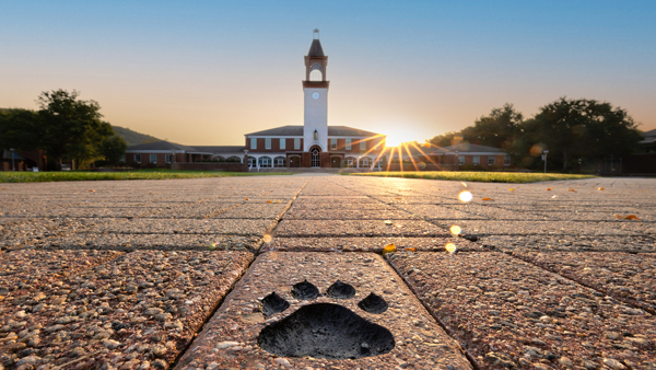 A bobcat paw print carved in brick in foreground with sun rising behind the clock tower